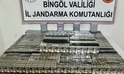 Bingöl'de Jandarma Operasyonu