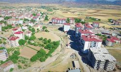 Elazığ Kovancılar’da Şap Karantinası!