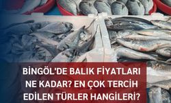 Bingöl'de Balık Fiyatları Ne Kadar? En Çok Tercih Edilen Türler Hangileri?