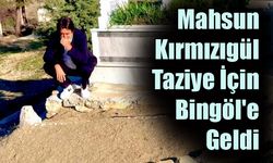 Mahsun Kırmızıgül Taziye İçin Bingöl'e Geldi