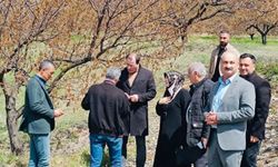 Soğuk Hava Tarımı Vurdu, Yetkililer Sahada