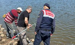 Diyarbakır'da Göletteki Balık Ölümleri İçin İnceleme Başlatıldı