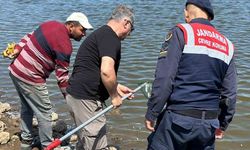 Göletteki Balık Ölümleri İncelenecek