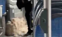 Diyarbakır’da Sağanak Yağış Halk Otobüsüne Su Taşıdı