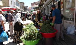 Dağlardan Toplanan Şifalı Otlar Pazarda Yoğun İlgi Görüyor