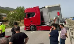 Bir Arı Yüzlerce Sürücüyü Yolda Mahsur Bıraktı
