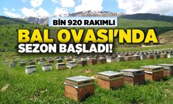 Bingöl'de Bal Ovası'nda Bal Sezonu Başladı!