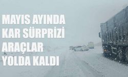 Bingöl'de Mayıs Ayında Kar Sürprizi: Araçlar Yolda Kaldı
