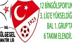 12 Bingölspor'un Şampiyon Olduğu Grupta, 6 Takım Elendi!