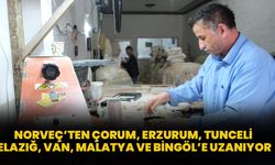 Norveç’ten Çorum, Erzurum, Tunceli, Elazığ, Van, Malatya Ve Bingöl’e Uzanıyor
