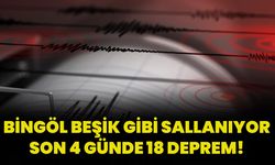 Bingöl Beşik Gibi Sallanıyor: Son 4 Günde 18 Deprem!