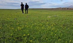 Bitlis'te Süphan Dağı Eteklerindeki Gizli Cennet