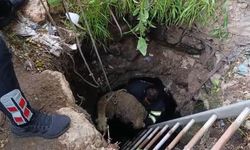 Kuyuya Düşen Koyunun İmdadına İtfaiye Yetişti!