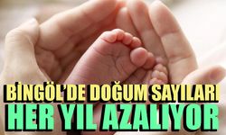 Bingöl’de Doğum Sayıları Her Yıl Azalıyor