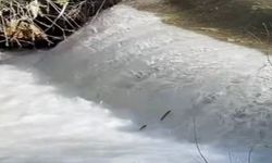 Elazığ'da Balıkların Göçü Başladı!