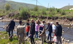 Karakoçan'da Balık Ölümleri Üzerine İnceleme Başlatıldı