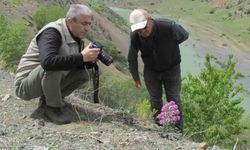 Elazığ'da Biyolojik Çeşitlilik Envanteri Çalışmaları Sürüyor