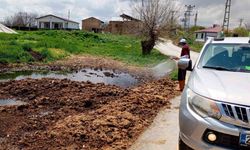 Elazığ’da İlaçlama Çalışmaları Başlatıldı