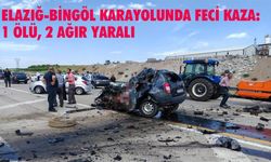 Elazığ Bingöl Karayolunda Feci Kaza: 1 Ölü, 2 Ağır Yaralı