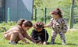 Genç'te Minik Eller Fidanları Toprakla Buluşturdu!