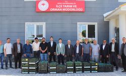 Bingöl'ün İlçesinde 30 Bin Fide Dağıtıldı