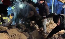 Hakkari'de Ahır Çöktü: 10 Hayvan Enkaz Altında Kaldı