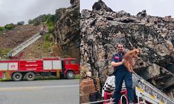 Hakkari’de Kayalıkta Mahsur Kalan Yavru Keçi Kurtarıldı