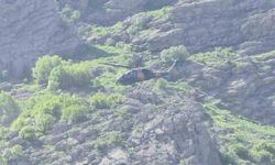 Hakkari'de Kaybolan Yaşlı Adam, Askeri Helikopterle Kurtarıldı!