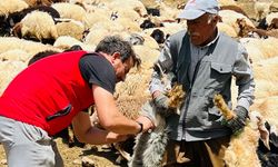 Hakkari'de Aşı Seferberliği Başlatıldı