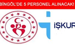 Bingöl'de 5 İşçi Alımı Yapılacak!
