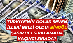 Türkiye'nin Dolar Seven İlleri Belli Oldu: Bingöl Şaşırtıcı Sıralamada Kaçıncı Sırada?