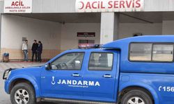 Malatya'da 6 Kişi Mantardan Zehirlendi!