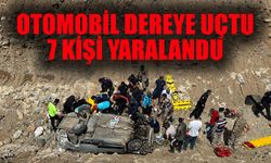Otomobil Dereye Uçtu, 7 Kişi Yaralandı