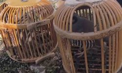 Siirt'te Yasadışı Av Yapan Şahısa 63 Bin Lira Ceza!