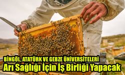 Bingöl, Atatürk ve Gebze Üniversitelerinden Arı Sağlığı İçin İş Birliği