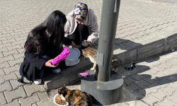 Üniversite Öğrencilerinden Sokak Hayvanları İçin Anlamlı Proje