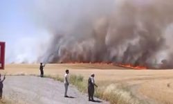 Diyarbakır'da Bin Dönüm Ekili Alan Kül Oldu