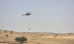 Mazıdağı’nda Orman Yangını Kontrol Altına Alındı