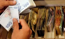 BDDK Verileri Açıklandı: Borç Listesi Değişti, Bingöl Dövize Yöneldi