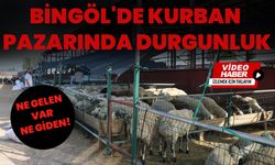Bingöl'de Kurban Pazarında Durgunluk