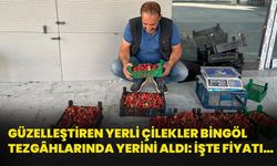 Güzelleştiren Yerli Çilekler Bingöl Tezgâhlarda Yerini Aldı: İşte Fiyatı…