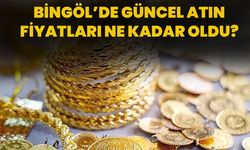 Bingöl’de Güncel Atın Fiyatları Ne Kadar Oldu?