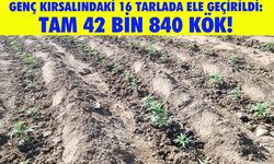 Bingöl'de Jandarmadan Dev Narkotik Operasyon!