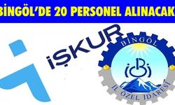 Bingöl'de 20 İşçi Alımı Yapılacak!