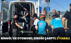 Bingöl’de Otomobil Direğe Çarptı: 2 Yaralı