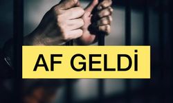 Yeni İnfaz Yasası Resmi Gazete’de Yayımlandı: 20 Bin Mahkuma Tahliye Yolu Açıldı