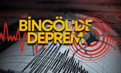 Genç'te 4.0 Büyüklüğünde Deprem Meydana Geldi