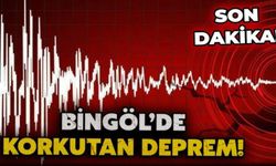 Kiğı’da 3.8 Şiddetinde Deprem