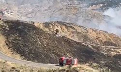 Bingöl'de Orman Yangını Korkuttu