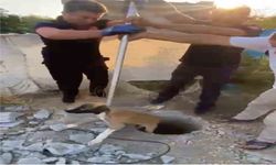 Kuyuya Düşen Yavru Köpeğin İmdadına Yetiştiler